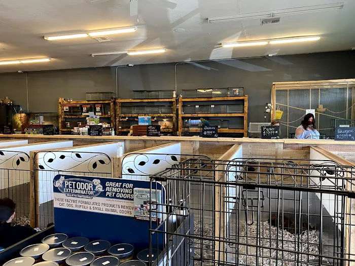 Puppy Boutique of Bartow Picture 1