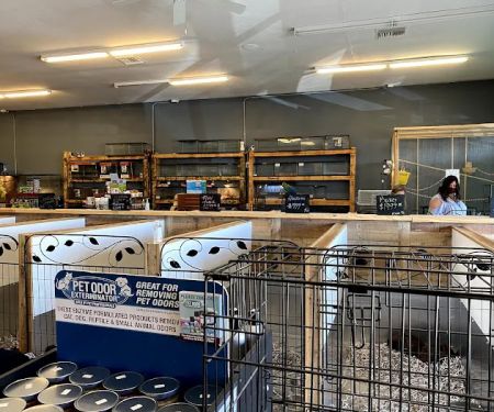 Puppy Boutique of Bartow