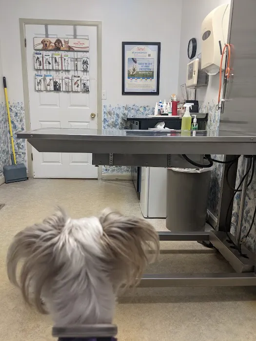 Dr. Phillip Roerig Picture 3