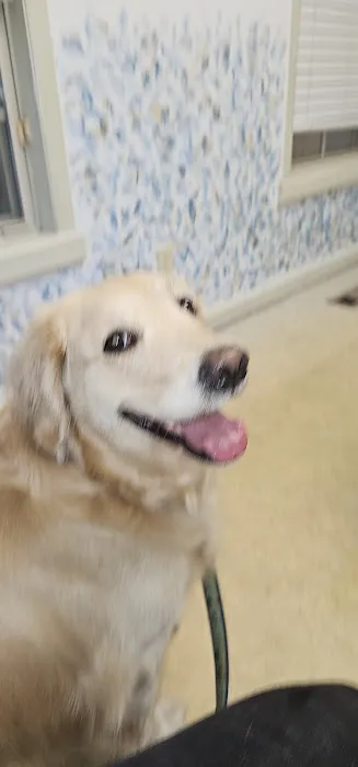 Dr. Phillip Roerig Picture 2