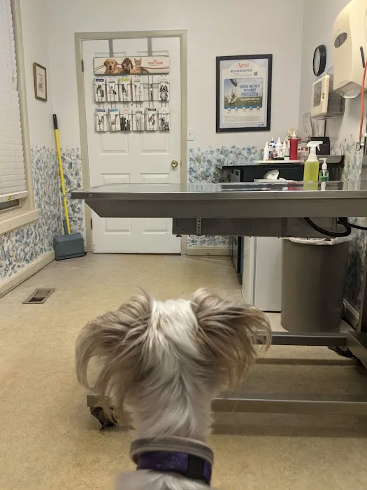 Dr. Phillip Roerig Picture 1