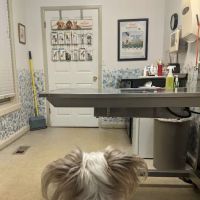 Dr. Phillip Roerig ico