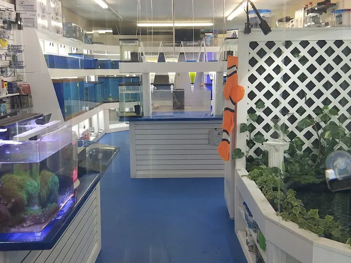 Darrell's Aquarium Picture 5