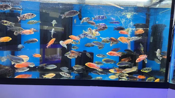 Darrell's Aquarium Picture 9