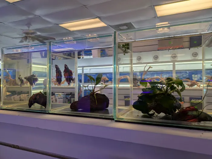 Darrell's Aquarium Picture 7