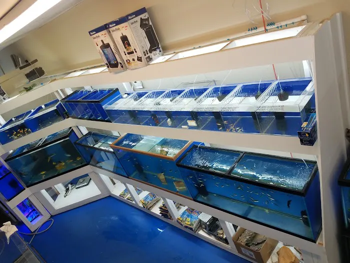 Darrell's Aquarium Picture 8