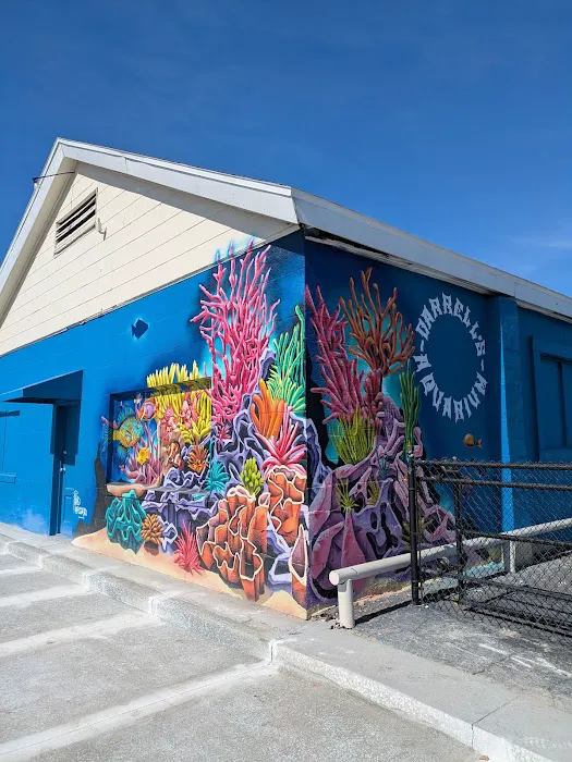 Darrell's Aquarium Picture 1