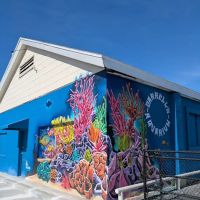 Darrell's Aquarium ico