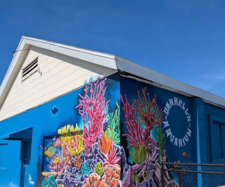 Darrell's Aquarium