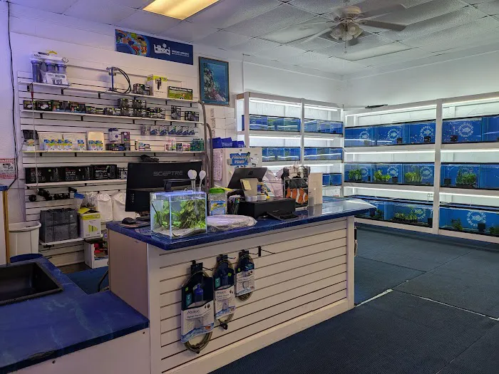 Darrell's Aquarium Picture 2