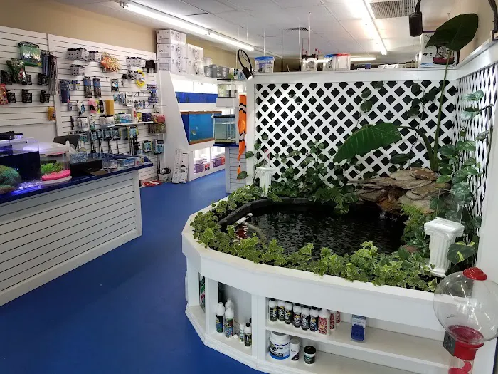 Darrell's Aquarium Picture 10