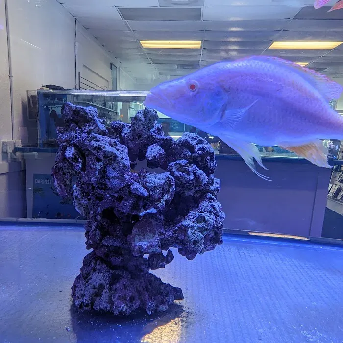 Darrell's Aquarium Picture 6