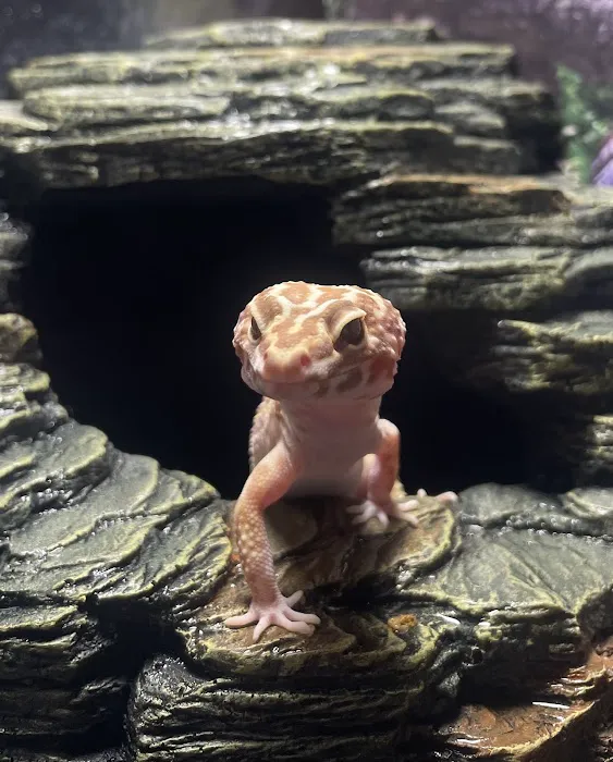 Glen Manor Veterinary Hospital Picture 5