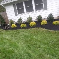 Glen Manor Veterinary Hospital ico