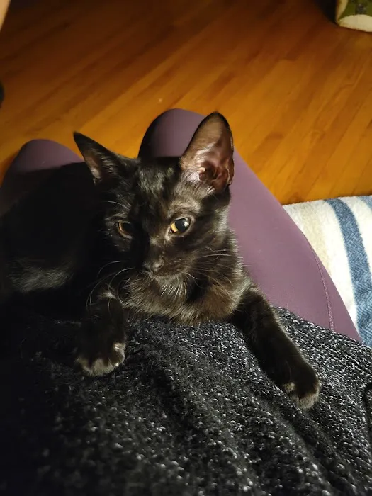 Glen Manor Veterinary Hospital Picture 8