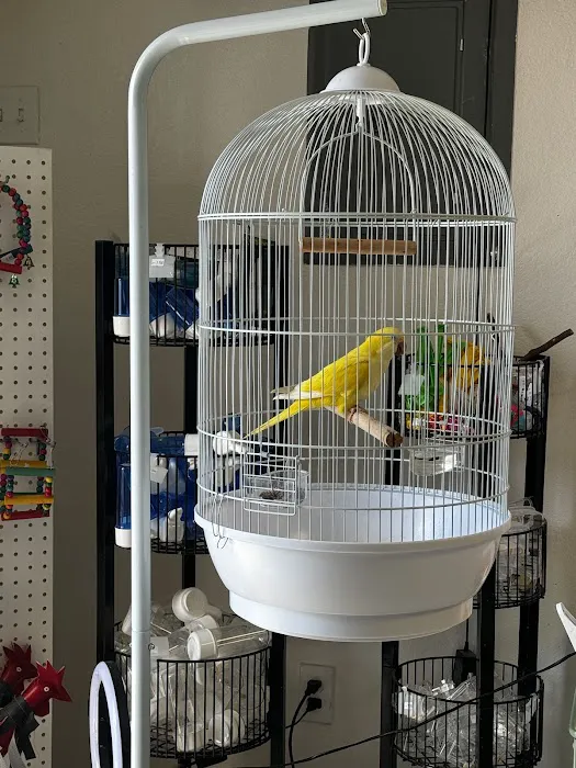 Junior Pet Shop Picture 10