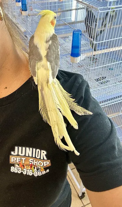 Junior Pet Shop Picture 5