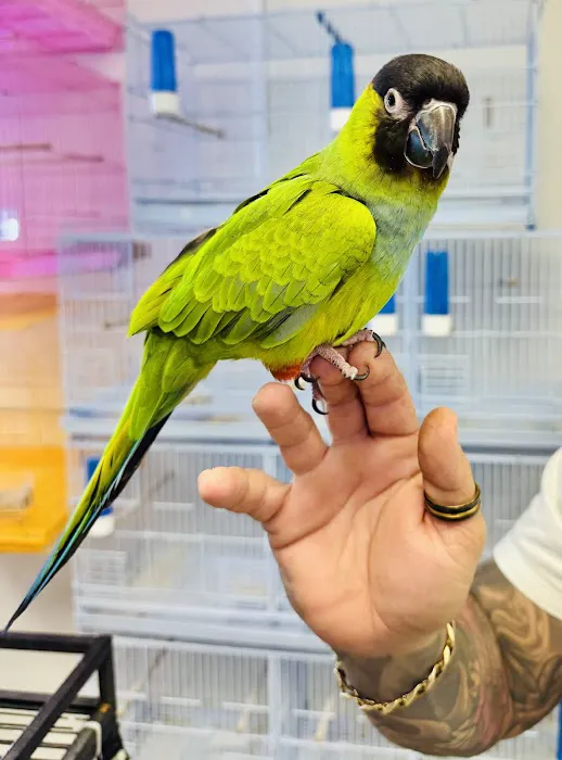 Junior Pet Shop Picture 4