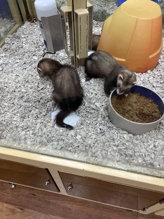 Pet Supermarket Picture 10