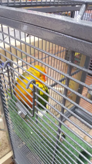 Pet Supermarket Picture 5