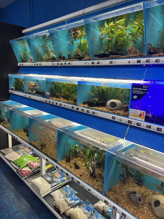 Pet Supermarket Picture 6