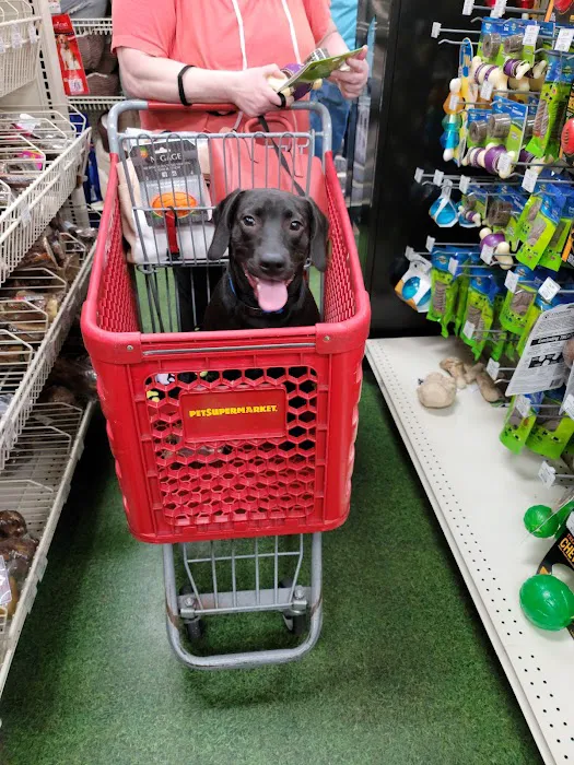Pet Supermarket Picture 9
