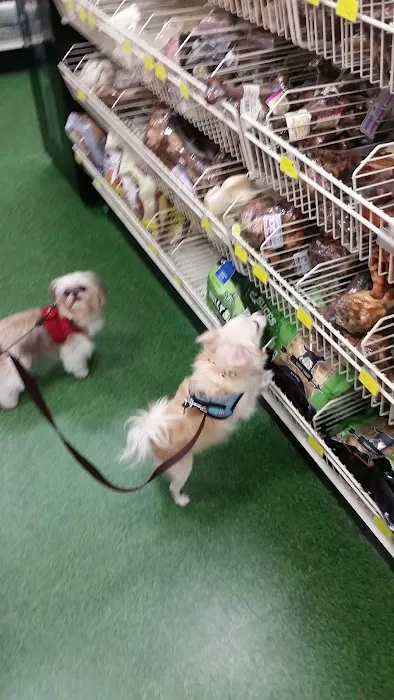 Pet Supermarket Picture 1