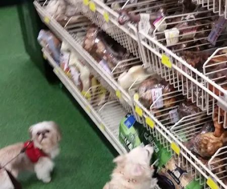 Pet Supermarket