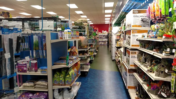 Pet Supermarket Picture 4