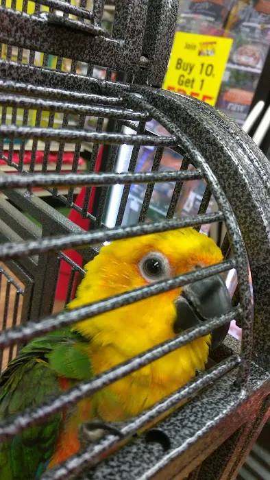 Pet Supermarket Picture 7