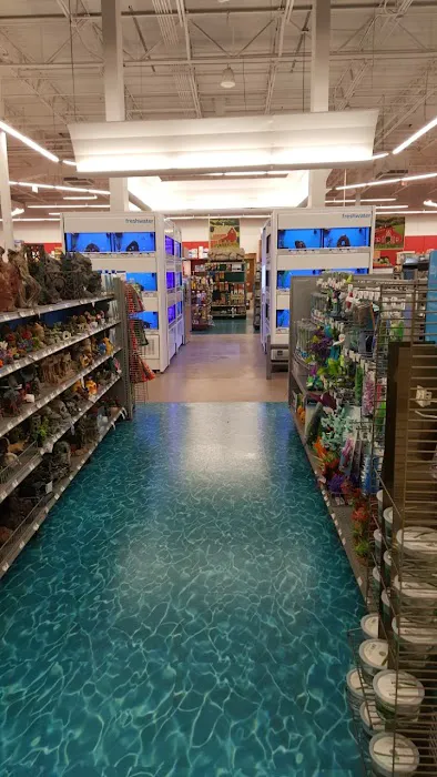 Petco Picture 1