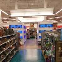 Petco ico