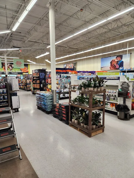 Petco Picture 10