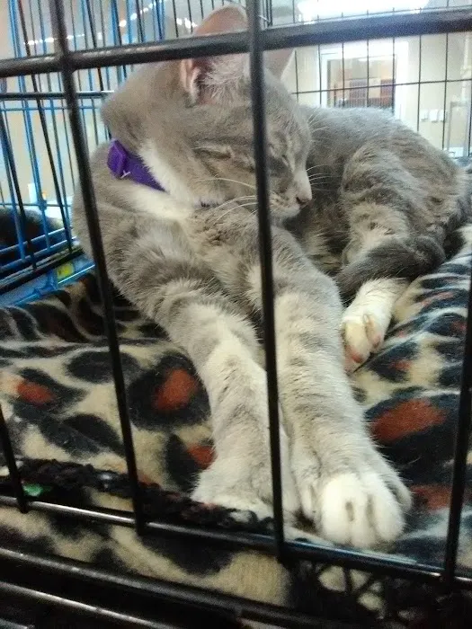 Petco Picture 9