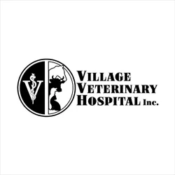 Village Veterinary Hospital Picture 1