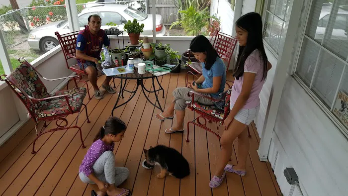 Florida German Shepherd Puppies Picture 4