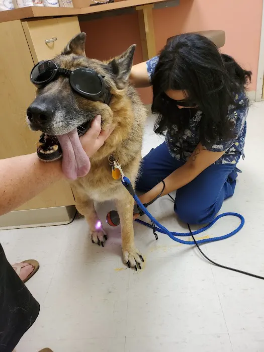 VCA Capeway Animal Hospital Picture 6