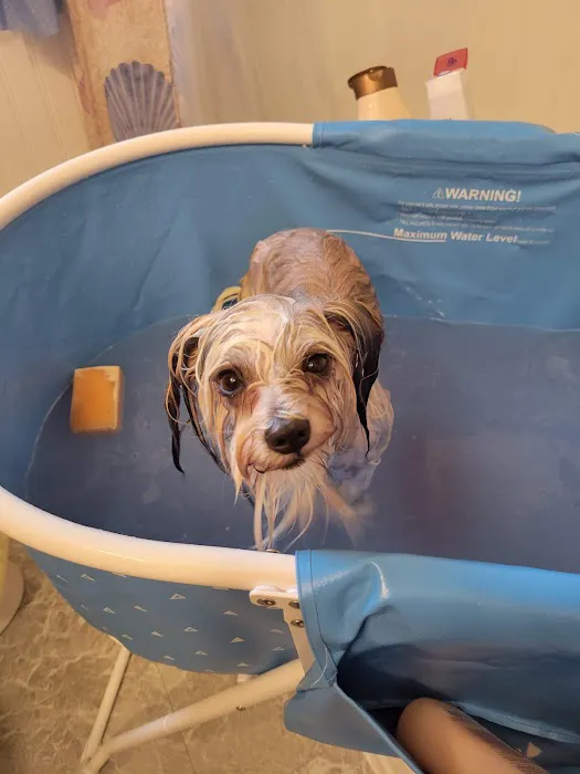 VCA Capeway Animal Hospital Picture 4