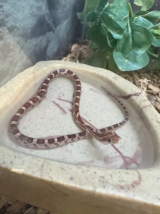 Petco Picture 10