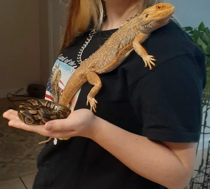 Petco Picture 1
