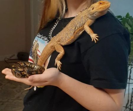 Petco