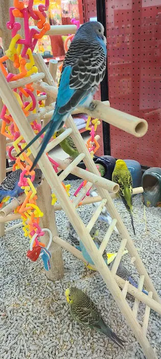 Petco Picture 6