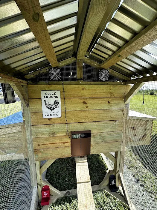 jbchick coops & cages llc Picture 5