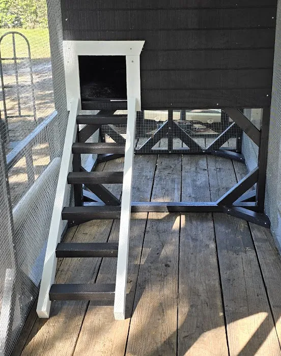 jbchick coops & cages llc Picture 3