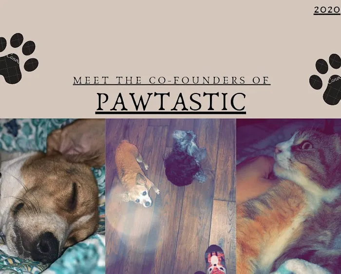 Pawtastic Pet Supply Co. Picture 4