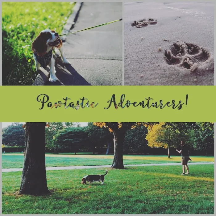 Pawtastic Pet Supply Co. Picture 7