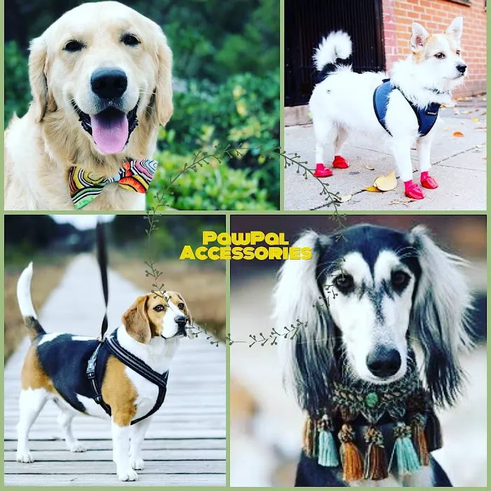 Pawtastic Pet Supply Co. Picture 5