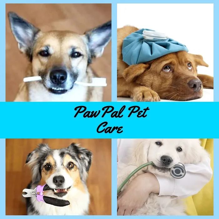 Pawtastic Pet Supply Co. Picture 3