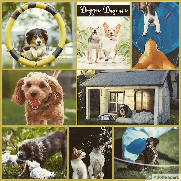 Pawtastic Pet Supply Co. Picture 6