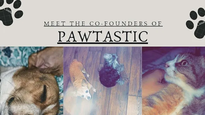 Pawtastic Pet Supply Co. Picture 8